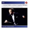 Download track Symphony 5 IV. Passacaglia. Moderato