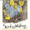 Download track Bird In Widnes