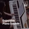 Download track Enjoyable Piano Sounds, Pt. 17