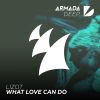 Download track What Love Can Do (Radio Edit)