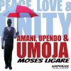 Download track Amani, Upendo And Umoja (Peace, Love And Unity)