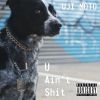 Download track U Ain't Shit