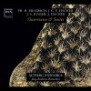 Download track Le Journal Du Printemps, Op. 1, Ouverture IV In D Minor Menuet