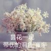 Download track 昙花一现 (伴奏)