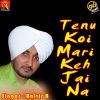 Download track Main Haan Garib