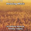 Download track Relaxing Music To Fall Asleep To
