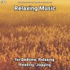 Download track Relaxing Music To Chill Out