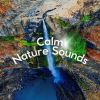 Download track Outdoor Ambience