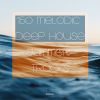 Download track House White