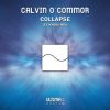 Download track Collapse (Extended Mix)