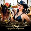 Download track Megamix: Caballos Famosos El Cantador / El Tordillo / La Yegua Colorada / Le Pusieron 7 Leguas / El Moro De Cumpas