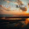 Download track Tranquil Haven