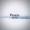 Download track Peace (Radio Edit)