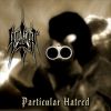 Download track Particular Hatred