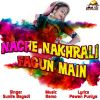 Download track Nache Nakhrali