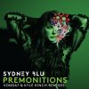 Download track Premonitions (Original Mix)