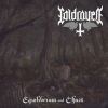 Download track Equilibrium And Chaos