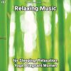 Download track Relaxing Music, Pt. 8