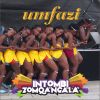 Download track Izintombi