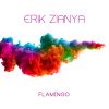 Download track Flamingo (Original Mix)