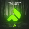 Download track Freedom (Extended Mix)