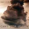 Download track Can't Stop Us Now