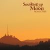 Download track Sneaking Up On The Moon