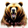 Download track Grizzly Planet