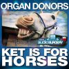 Download track Ket Is For Horses (Original Mix)