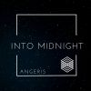 Download track Into Midnight