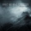 Download track What We Have Forgotten - Pt I'