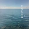 Download track 好喜欢你