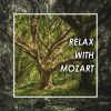Download track Mozart- Contredanse In G Major, K. 610 -Les Filles Malicieuses-