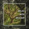 Download track Mozart- Allegro In D Major, K. 626b-16