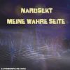 Download track Meine Wahre Seite