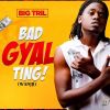 Download track Bad Gyal Ting (Wanjji)