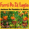 Download track Ginga Da Mulata