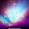 Download track Aurora Boreal (Ikerya Project Remix)