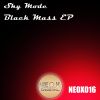 Download track Black Mass (Original Mix)