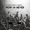 Download track Now Or Never (Agustin Mesa Remix)