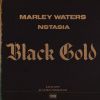 Download track Black Gold