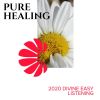 Download track Classic Indian Healing