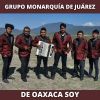 Download track De Oaxaca Soy