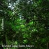 Download track Deep Forest Canopy Daytime Ambience, Pt. 14