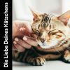 Download track Ruhige Melodie Für Katzen