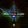 Download track Practical Mood (Original Mix)