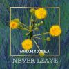 Download track Never Leave