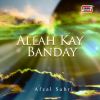 Download track Ya Allah Hazir Hain Hum