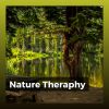 Download track Calm Nature Sounds With Music, Pt. 16