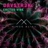 Download track Cactus Vibe